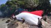 Viral! Pemuda Asal Aceh Bakar dan Robek Bendera Merah Putih 