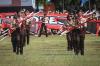 10 Dasa Darma Pramuka dan Fungsinya, Yuk Cari Tahu!