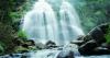 Pesona Air Terjun Mbah Gimo Dikelilingi Kebun Kopi, Keindahannya bak Tirai Raksasa
