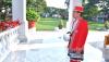 Penampilan Presiden Jokowi Pakai Baju Adat Dolomani dari Buton Bernuansa Merah