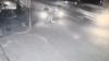 Terekam CCTV, Perempuan di Lumajang Terseret saat Pertahankan Motornya Dibawa Kabur Pencuri