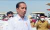 Jokowi Luncurkan Food Estate di Gresik, Diharapkan Lahan Rakyat dan Swasta Terintegrasi 