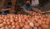 Ini Penyebab Harga Telur di Pasaran Makin Mahal