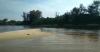 Menjelajahi Pantai Kuala Kambas, Lihat Senja yang Eksotis hingga Ada Hewan Langka