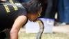Aksi Pria Nekat Mencium Ular Berbisa Terbesar di Dunia, Begini Akhirnya