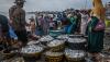 Harga BBM Solar Bersubsidi Naik, Harga Ikan Laut Melonjak - Bagian 2