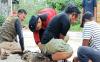Warga Sampit Serahkan 2 Buaya Peliharaan ke BKSDA, Khawatir Ukuran Semakin Besar