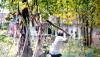 Viral Babi Hutan Masuk ke Permukiman dan Seruduk Warga di Banjarnegara