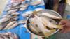 Hasil Tangkapan Nelayan Turun, Harga Ikan Segar di Gorontalo Naik 