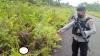 Mayat Perempuan Tergeletak di Pinggir Jalan di Yahukimo, Diduga Korban Pembunuhan