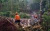 Banjir Bandang dan Longsor Landa Borobudur, 2 Rumah Rusak, Belasan Hewan Ternak Tertimbun
