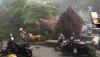 Hujan Deras Disertai Angin Kencang, Pohon Tumbang dan Tanah Longsor Landa Bogor