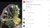Viral Ontang-anting Pasar Malam di Bangkalan Ambruk, Warganet: Kelalaian Adalah Budaya Kita