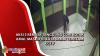 Aksi 3 Remaja Tanggung Curi Kotak Amal Masjid di Kota Jambi Terekam CCTV