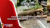 Pohon Tumbang Tewaskan Pengendara Motor di Majalengka