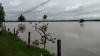 Banjir Masih Rendam Ratusan Haktare Sawah, Petani Pangandaran Terancam Gagal Panen