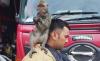 Monyet Duduk Santai di Bahu Petugas Damkar saat Dievakuasi usai Serang Warga, Netizen: Kok Bisa Akrab Ya