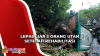 Kembali ke Hutan, Begini Momen Lepas Liar 3 Orang Utan di Katingan