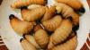 Sensasi Rasa Ulat Sagu Khas Papua, Makanan Ekstrem Bikin Bulu Kuduk Merinding