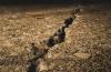 Gempa Magnitudo 5,1 Guncang Sukabumi, Warga Rasakan Getaran Kuat di Lantai 2
