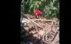 BMKG Jelaskan Penyebab Gempa di Cianjur M 5,6, Warga Diminta Jangan Masuk Rumah