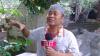 Rumah Ki Joko Bodo Jadi Masjid, Ini Pesannya Semasa Hidup