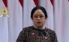 Puan Maharani Minta Optimalkan Penanggulangan Karhutla secara Efektif, Termasuk di Gunung Arjuno