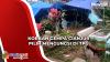 Ratusan Warga Korban Gempa Cianjur Pilih Mengungsi di TPU