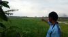 Bajak Sawah saat Hujan, Petani di Mojokerto Tewas Mengenaskan Tersambar Petir