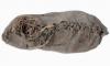 Ini Dia Sepatu Kulit Tertua di Dunia, Lebih Tua 1.000 Tahun daripada Piramida Mesir 