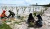 Penanaman 15.000 Mangrove di Pesisir Wakatobi - Bagian 1