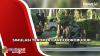Antisipasi Pengamanan Nataru, Brimob Polda Jateng Gelar Simulasi Teror di Candi Borobudur