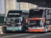 Klakson Telolet Basuri Bisa Bikin Senang tapi Menyimpan Bahaya, Kok Bisa?