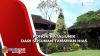 Kreasi Unik, Pohon Natal dari Susunan Seribu Pot Tanaman Hias di Badung