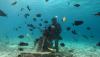 6 Artis Hobi Diving, Nomor 2 Sering Bareng Suami
