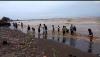 Puluhan Warga Kendal Berburu Kerang Putih yang Terseret Ombak di Pantai Sendang Sikucing