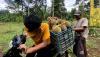 Panen Durian Cikakak Khas Sukabumi - Bagian 4