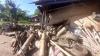 Truk Rem Blong Tabrak Warung dan Gardu di Jember, 1 Tewas 2 Luka