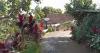 Kampung Unik di Nganjuk yang Dihuni 13 Rumah, Pendatang Baru Harus Hati-Hati saat Singgah! 