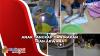 Viral! Anak di Tanjung Balai Tangkap dan Makan Ikan Arwana Senilai Rp5 Juta Milik Ayahnya