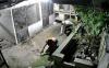 Terekam CCTV, 3 Orang Curi 2 Tabung Gas hingga HP Warga Muaragembong Bekasi