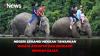 Negeri Serambi MekKah Tawarkan Wisata Atraktif dan Edukatif dengan Gajah 