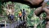 Viral Hutan Negeri Dongeng Dikelilingi Keindahan Danau di Biak Papua - Bagian 2