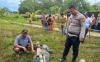 Dibantu Pawang, Warga Tangkap Buaya Terkam Manusia di Kayong Utara