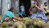 Berburu Durian Mbah Woro Berasal dari Pohon Usia 200 Tahun, Segini Harganya - Bagian 2