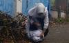 Viral 2 Siswi SMP di Bengkulu Berkelahi Pulang Sekolah, Jadi Tontonan Teman 
