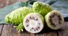 Cara Mengolah Buah Mengkudu yang Enak dan Segar, Wajib Coba Dibuat Jus!