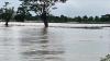 Tanggul Sungai Jebol, Ratusan Hektare Tambak Ikan di Lamongan Kebanjiran