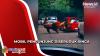 Singa Seruduk Mobil Pengunjung di Taman Safari, Viral di Medsos