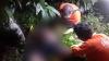 Semarang Gempar, Mayat Pria dengan Tubuh Mengelupas Ditemukan di Kebun Kopi PTPN IX